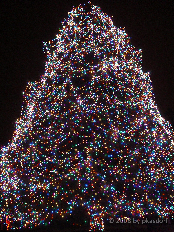 071 Toledo Zoo Light Show [2008 Dec 27].JPG - Scenes from the Toledo Zoo Light Show.